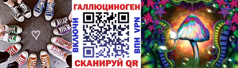 купить   Томари  Галлюциногенные грибы Magic Shrooms 